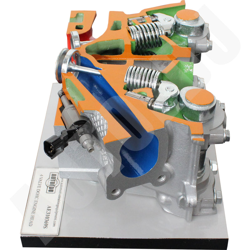 4 valve DOHC engine head – static – Educational Trainer AE310369S AutoEDU