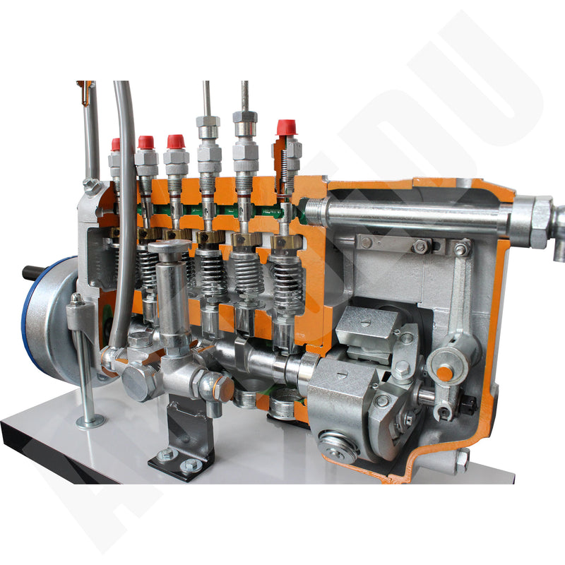 INJECTION PUMP WITH 6 IN-LINE CYLINDERS cutaway Educational Trainer AE410200M AutoEDU