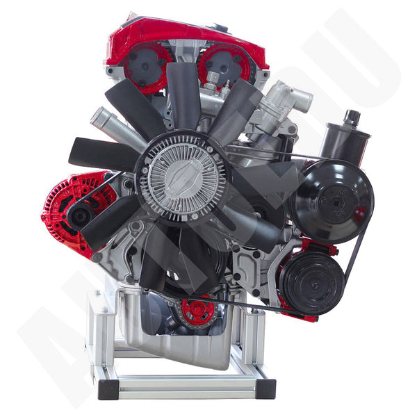 Automotive Petrol DOHC MPI engine ½ cutaway Educational Trainer IVDB02 AutoEDU