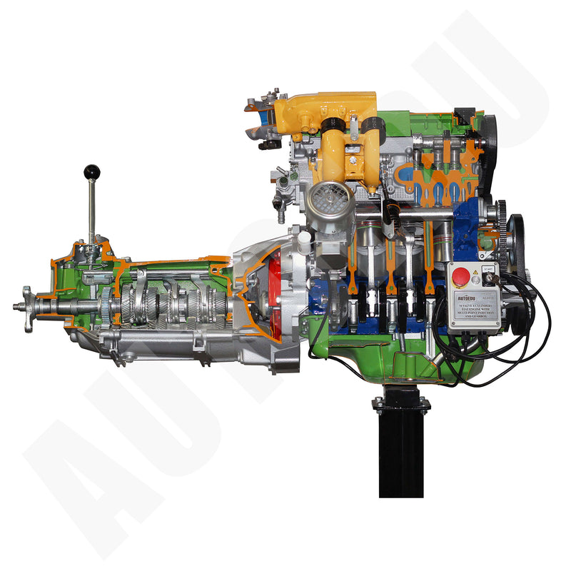 16 valve 4 cylinders fiat engine with multi-point electronic injection + gearbox 5 forward speeds + reverse cutaway Educational Trainer AE34805E AutoEDU
