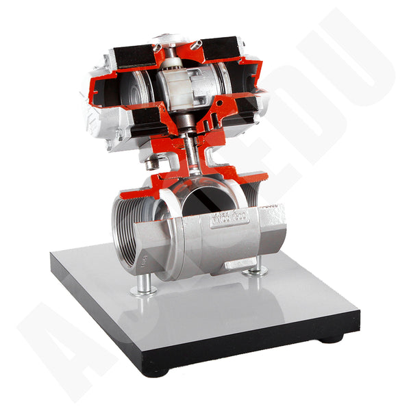 Cutaway hydraulic/pneumatic ball valve Educational Trainer AE513120S AutoEDU