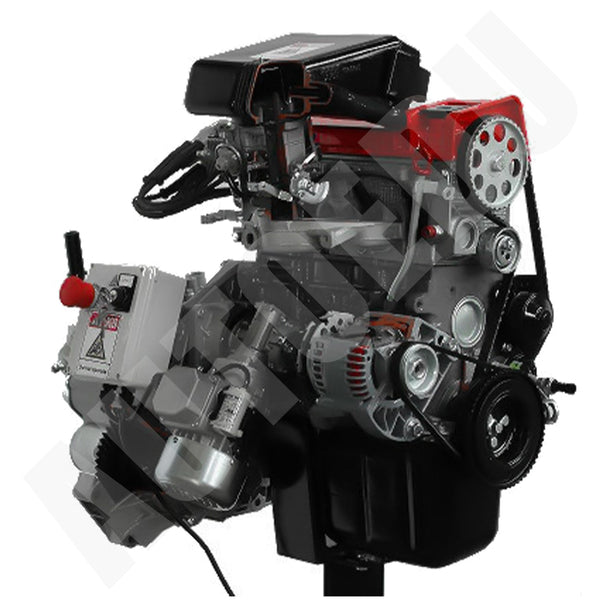 Fiat petrol engine with carburetor + gearbox cutaway Educational Trainer AE35220CE AutoEDU