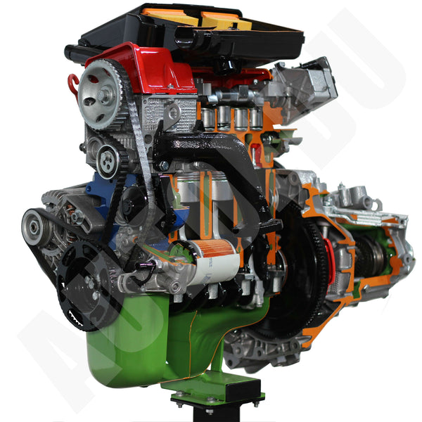 Fiat petrol engine with electronic injection - monojetronic + gearbox cutaway Educational Trainer AE35220 IEM AutoEDU