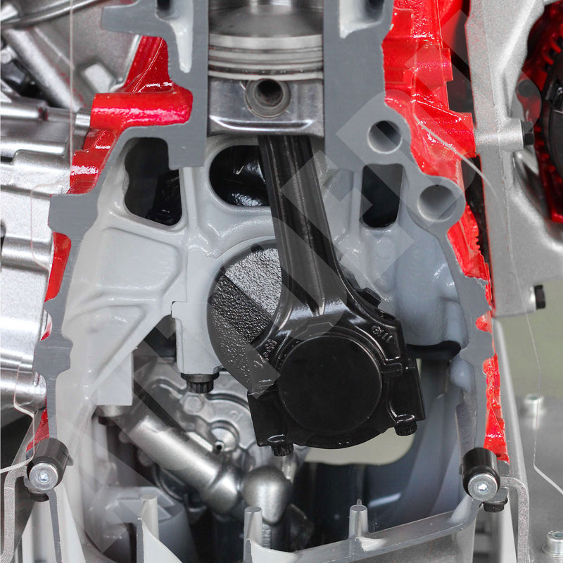 Automotive Petrol DOHC MPI engine ½ cutaway Educational Trainer IVDB02 AutoEDU