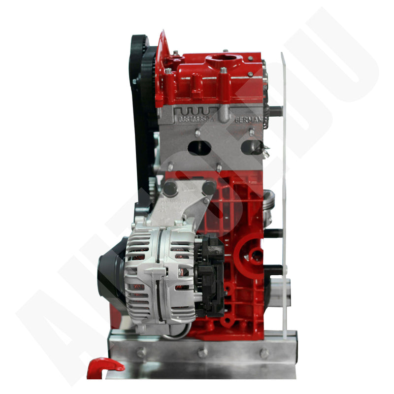 Automotive Petrol DOHC engine ½ cutaway Educational Trainer IVDB01 AutoEDU