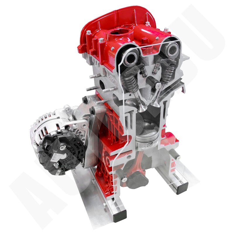 Automotive Petrol DOHC engine ½ cutaway Educational Trainer IVDB01 AutoEDU