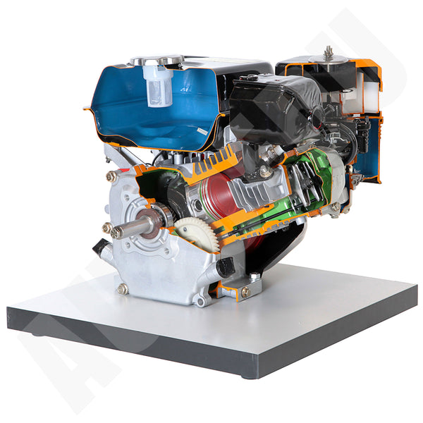 Single-cylinder 4 stroke petrol engine air cooled cutaway model (on the base) Educational Trainer AE35245M AutoEDU